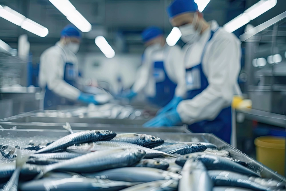 Visión de Concosmar